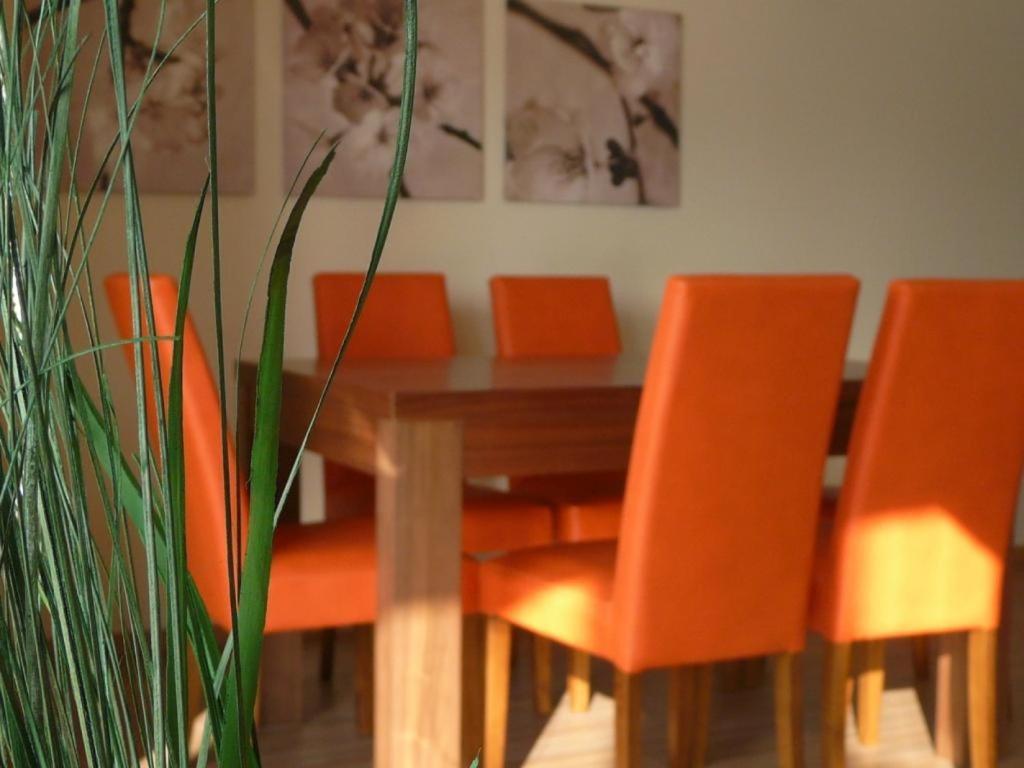 Apartamenty Wislany Brzeg Ustron Extérieur photo